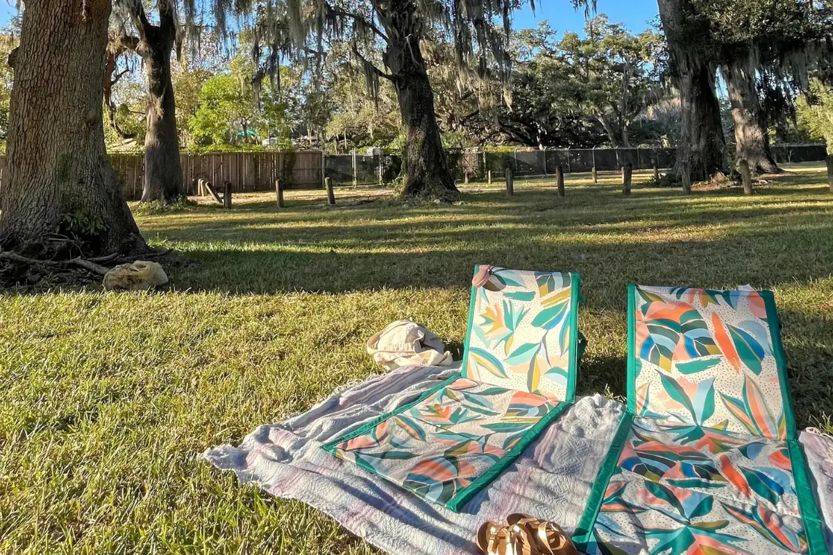 Photo showing a picnic at Audobon park, representing the best things to do in New Orleans for couples