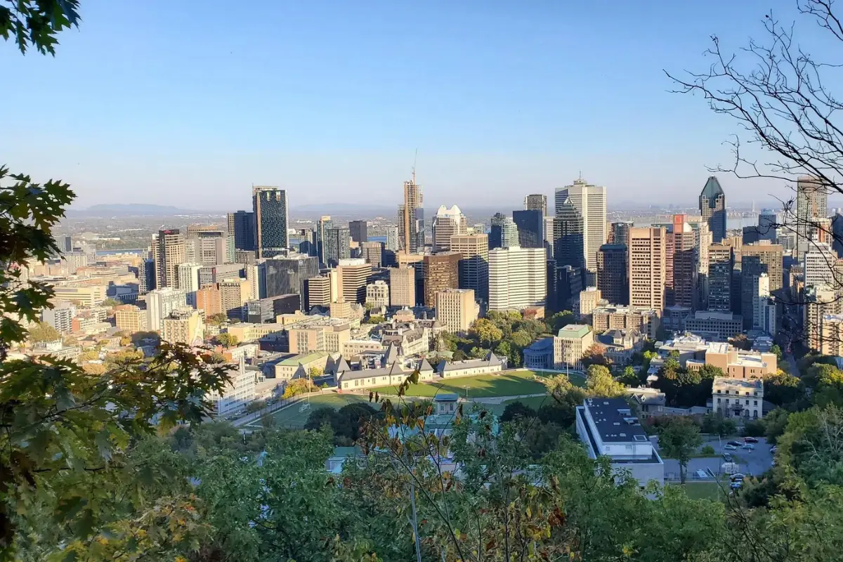 View at the top of the Mount Royal Park hike 