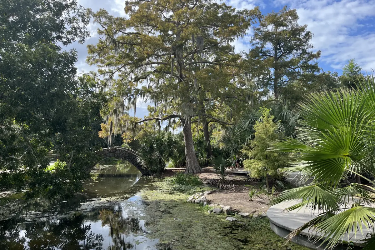 New Orleans City Park natural landscape