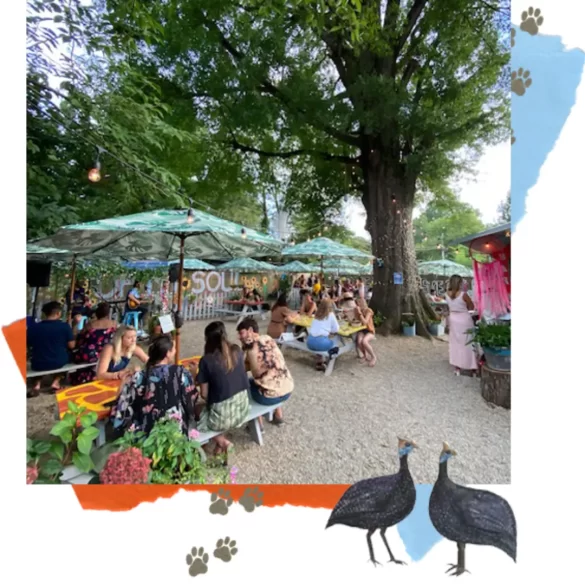 Garden patio and 100-year old oak tree at Oh My Soul, which is a vegan restaurant in NoDa Charlotte