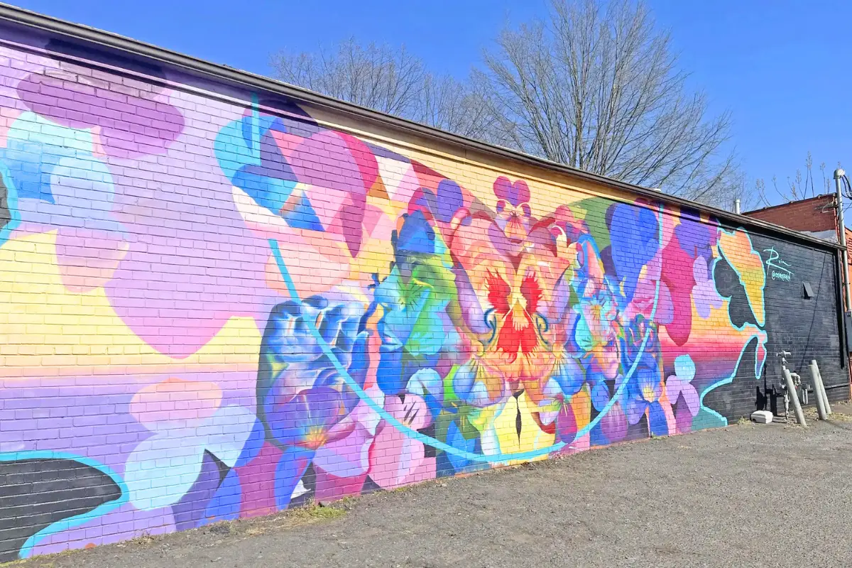 Cover photo for the blog on things to do in NoDa Charlotte by Inspired Backpacker blog. The photo is of a mural in NoDa, created by Osiris Rain