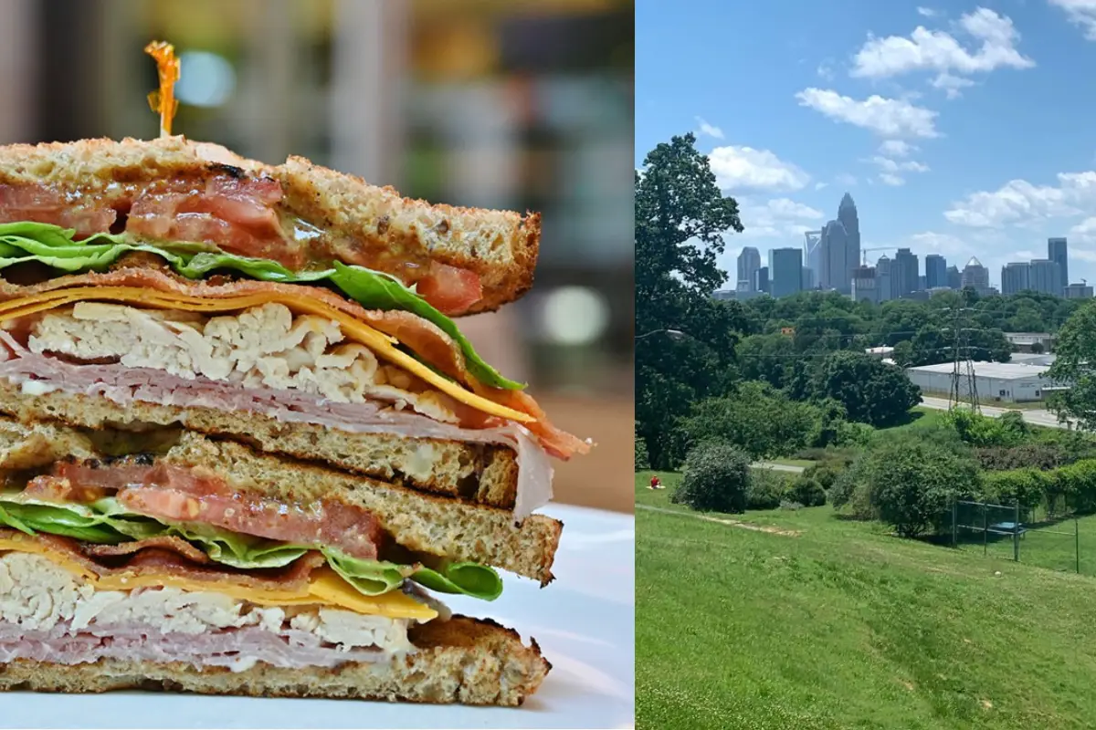 Collage showing Rhino Market & Deli sandwich and Cordelia Park, to display the idea of having a picnic at the park