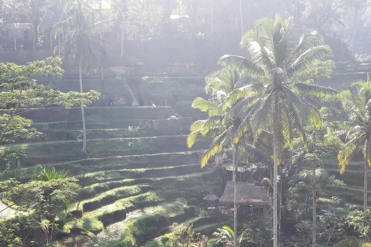 Inspirational photo of the sun on the Bali rice fields