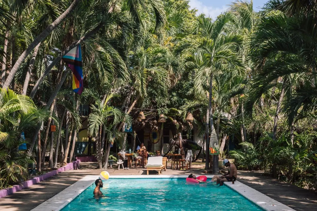 Beautiful pool area with some people enjoying the pool on a sunny day with a lush forest of huge palm trees behind them 