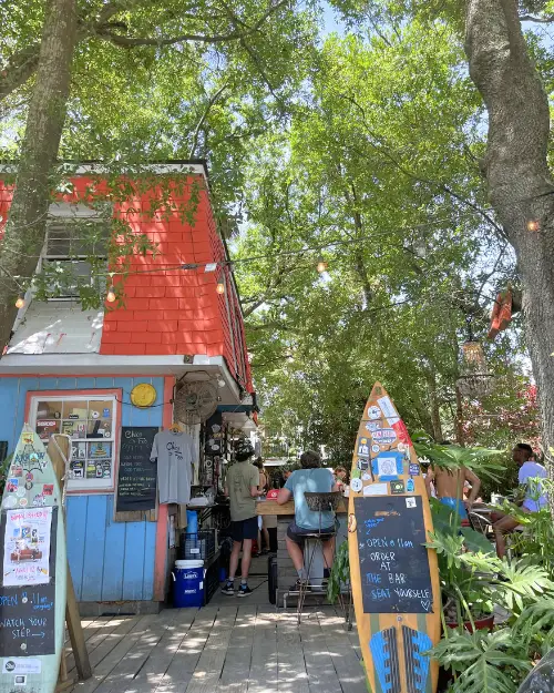 Chico Feo's patio under the trees with people hanging out mid day