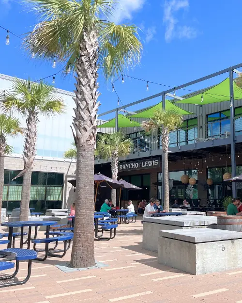 A sunny courtyard area with palm trees at the Pacific Box and Crate in North Charleston