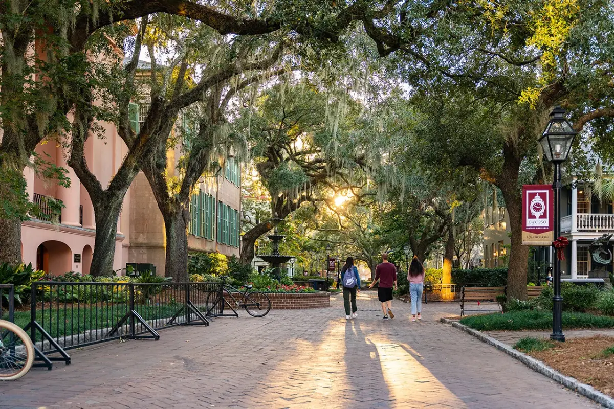 Sun shining through the trees at the College of Charleston campus, showing that it is one of the best free things to do in Charleston for visitors