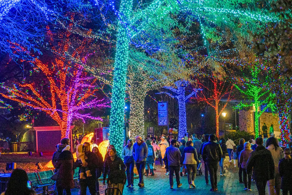 ZooLights is one of the best Downtown Washington DC Christmas events for kids