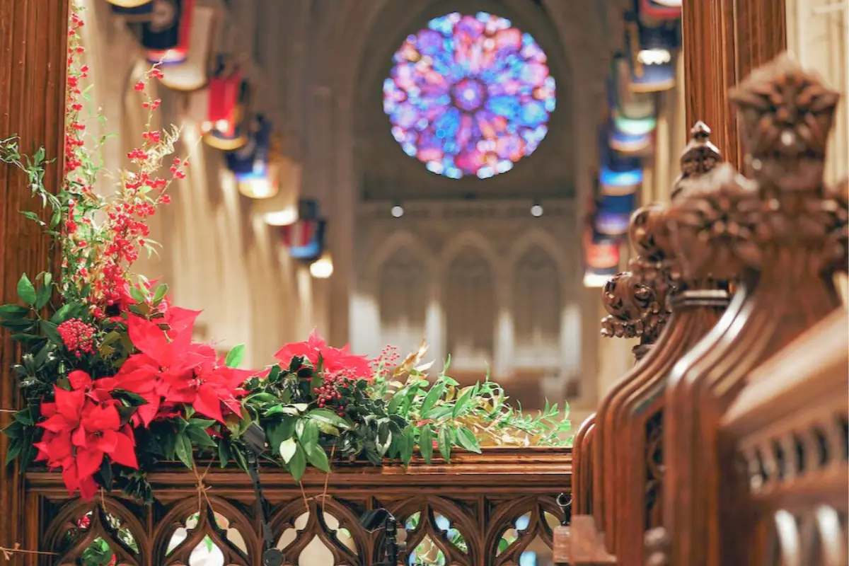 Poinsettias in the foreground with the beautiful stained glass window of the National Cathedral in the background, showing how stunning the building is during Christmas time 