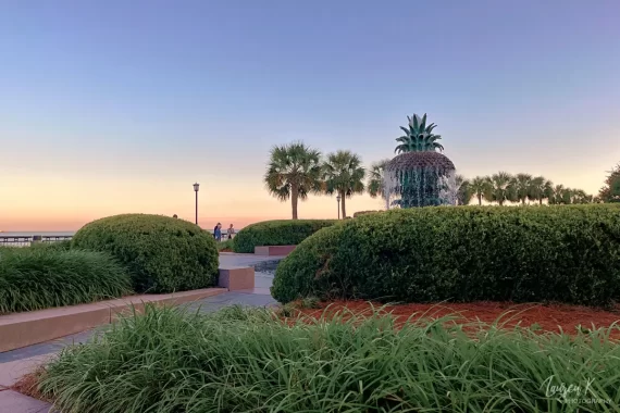 Cover image for the free things to do in charleston sc blog, which shows the Waterfront park and Pineapple Fountain at sunset