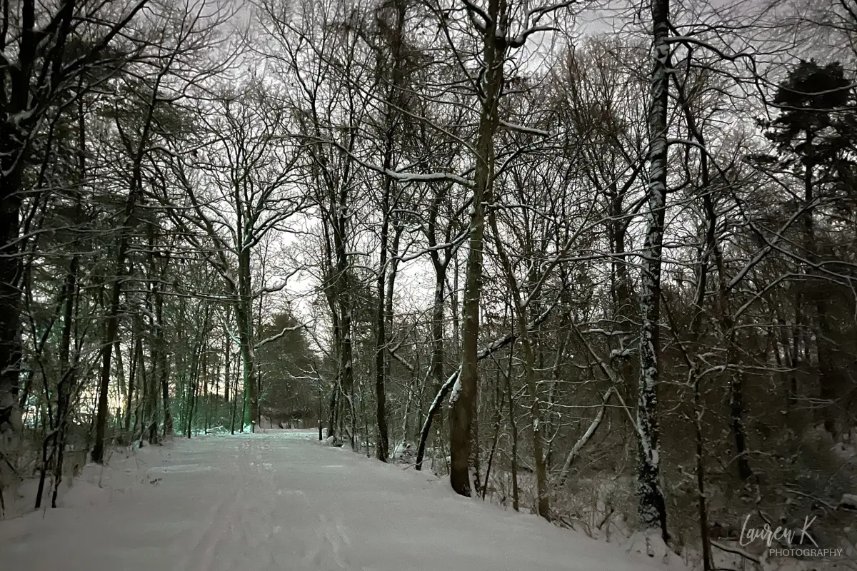 Snowy wooded trail 