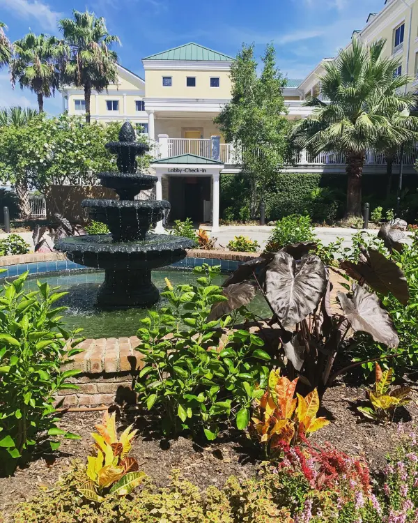 Fountain with plants all around it at the entrance of the hotel