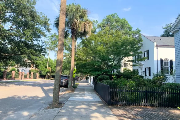 An average street in Charleston with plants on all sides