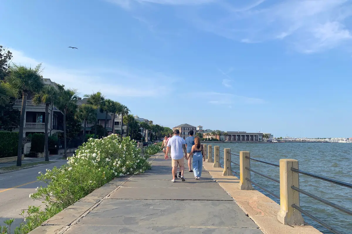 People walking down a waterside path with palm trees on one side and the ocean on the other, with birds flying in the distance under a sunny sky