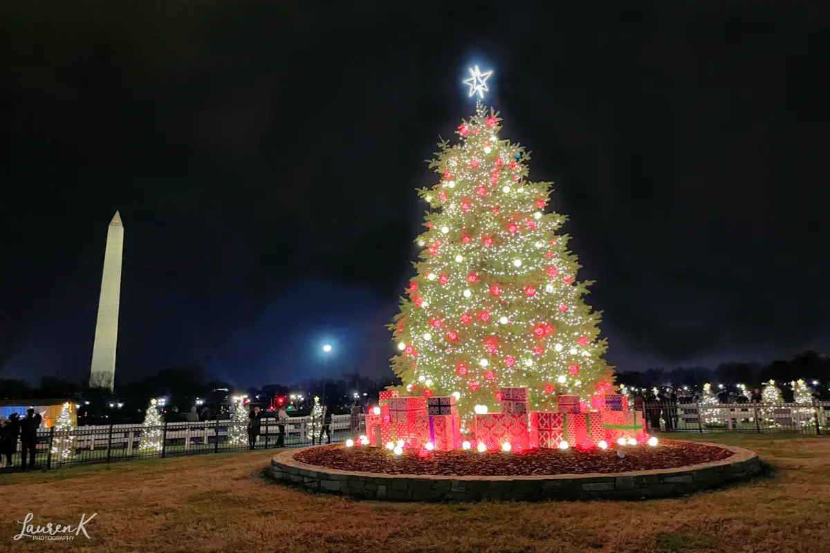 The National Christmas tree with the National Monument in the background along with the moon. Photograph by Lauren Kessel photography